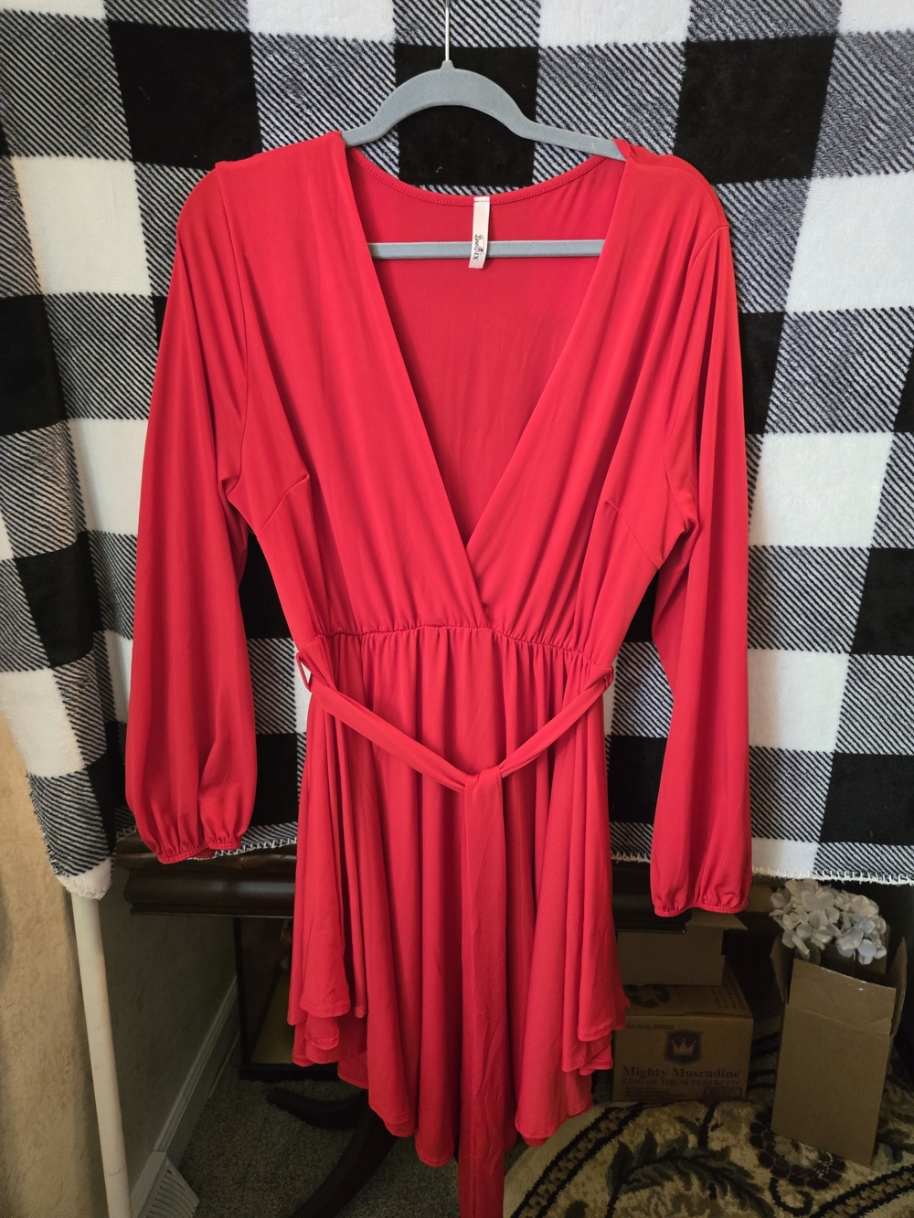 Line & Dot Red Sleeveless Dress with Scoop Neck